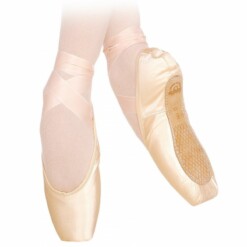 pointe 2007 pro de grishko
